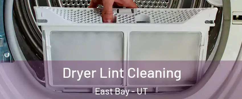 Dryer Lint Cleaning East Bay - UT