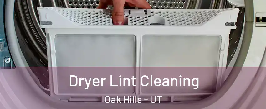 Dryer Lint Cleaning Oak Hills - UT