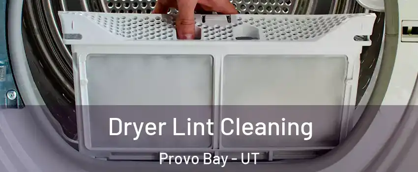 Dryer Lint Cleaning Provo Bay - UT