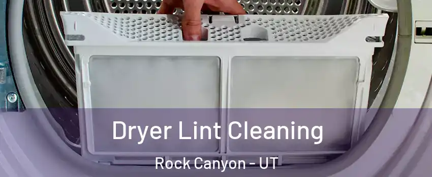 Dryer Lint Cleaning Rock Canyon - UT
