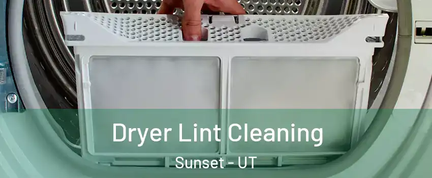 Dryer Lint Cleaning Sunset - UT
