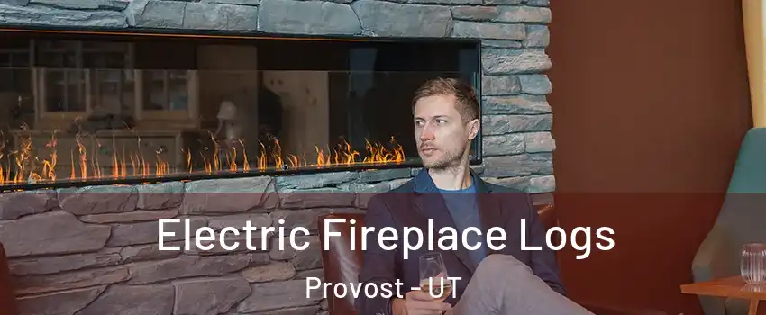 Electric Fireplace Logs Provost - UT