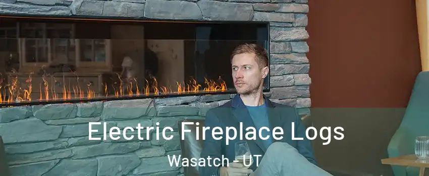 Electric Fireplace Logs Wasatch - UT