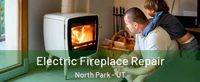 Electric Fireplace Repair North Park - UT