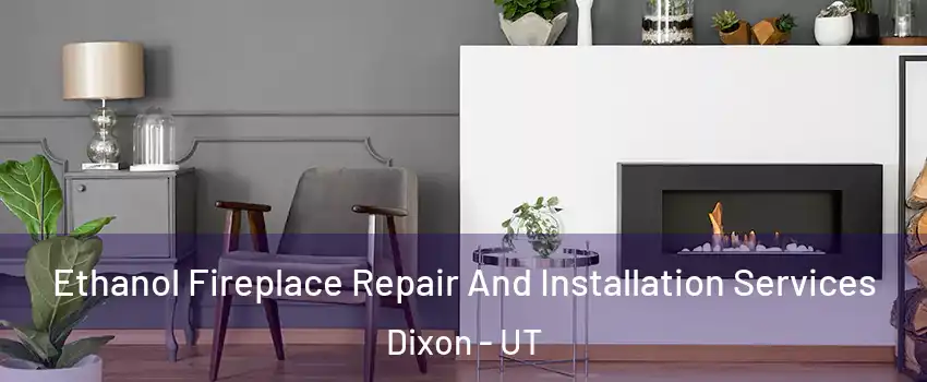 Ethanol Fireplace Repair And Installation Services Dixon - UT