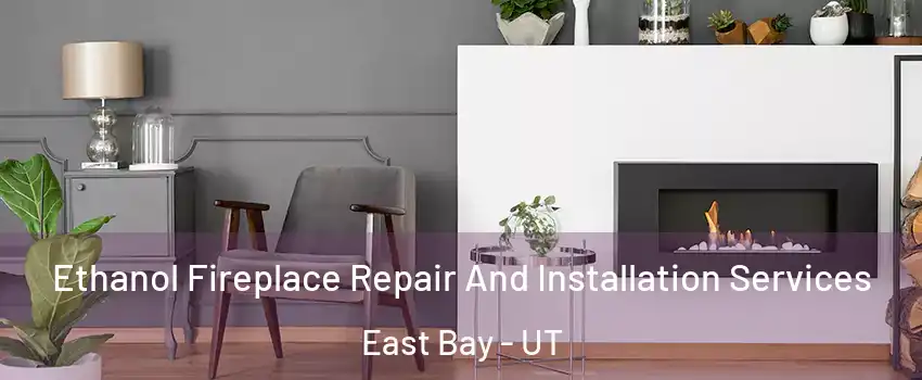 Ethanol Fireplace Repair And Installation Services East Bay - UT