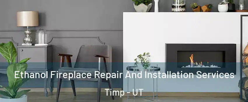 Ethanol Fireplace Repair And Installation Services Timp - UT