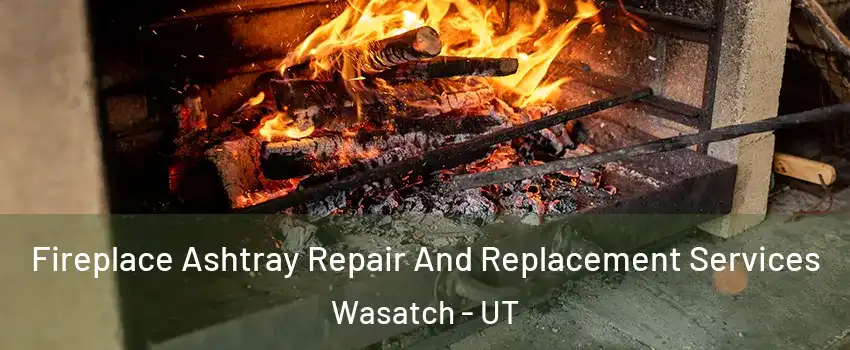 Fireplace Ashtray Repair And Replacement Services Wasatch - UT