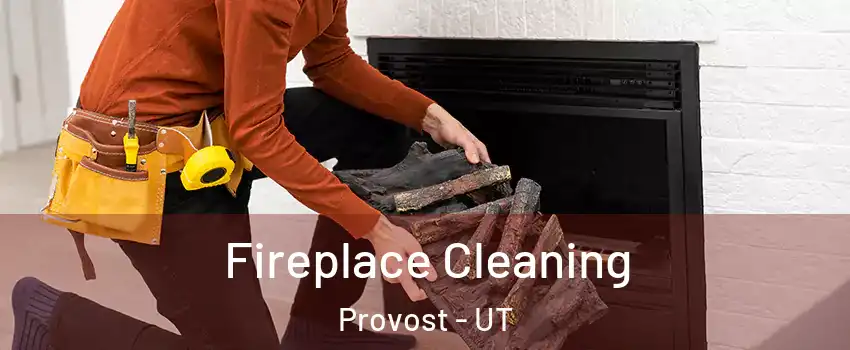 Fireplace Cleaning Provost - UT