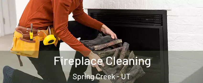 Fireplace Cleaning Spring Creek - UT
