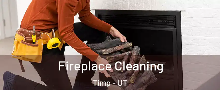 Fireplace Cleaning Timp - UT