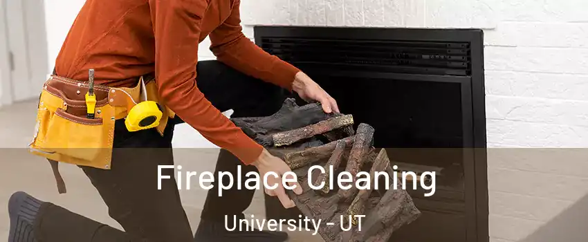 Fireplace Cleaning University - UT