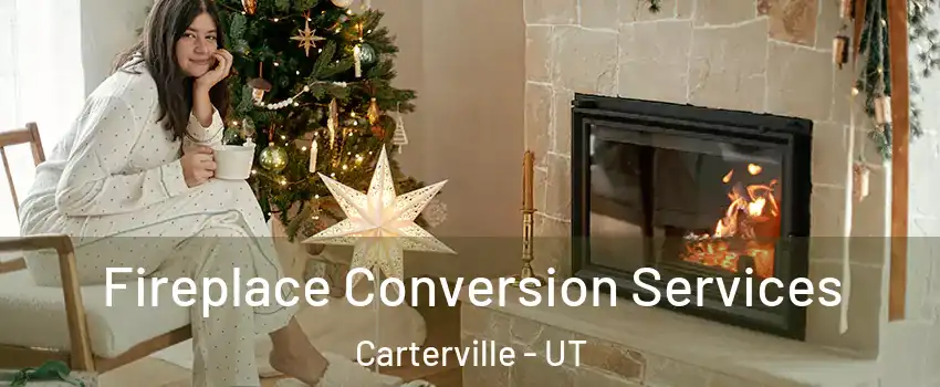 Fireplace Conversion Services Carterville - UT