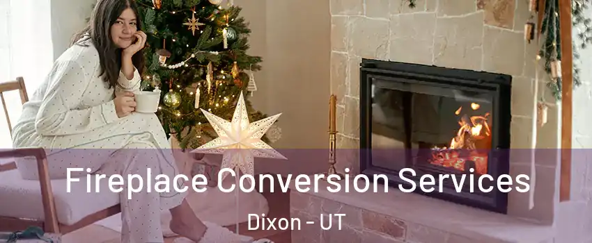 Fireplace Conversion Services Dixon - UT