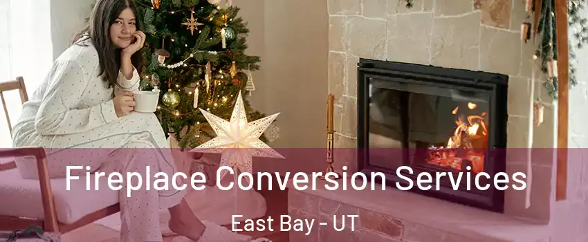 Fireplace Conversion Services East Bay - UT