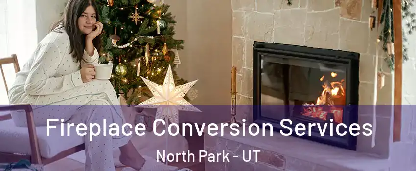 Fireplace Conversion Services North Park - UT