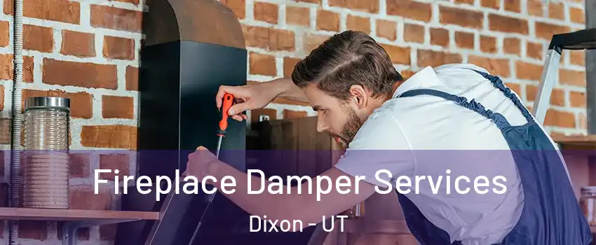 Fireplace Damper Services Dixon - UT