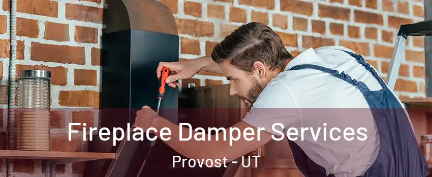 Fireplace Damper Services Provost - UT