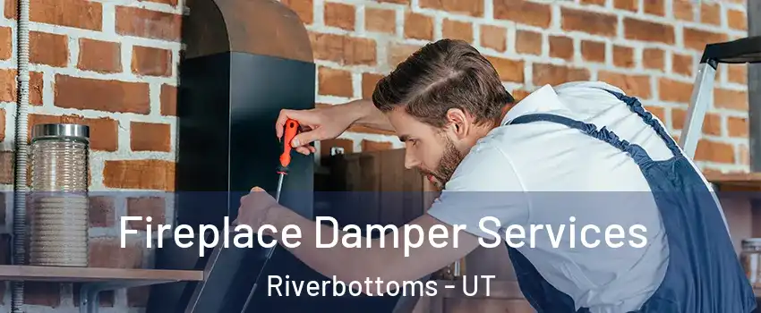 Fireplace Damper Services Riverbottoms - UT