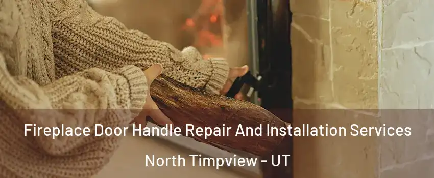Fireplace Door Handle Repair And Installation Services North Timpview - UT