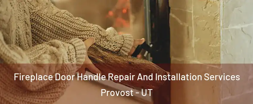 Fireplace Door Handle Repair And Installation Services Provost - UT