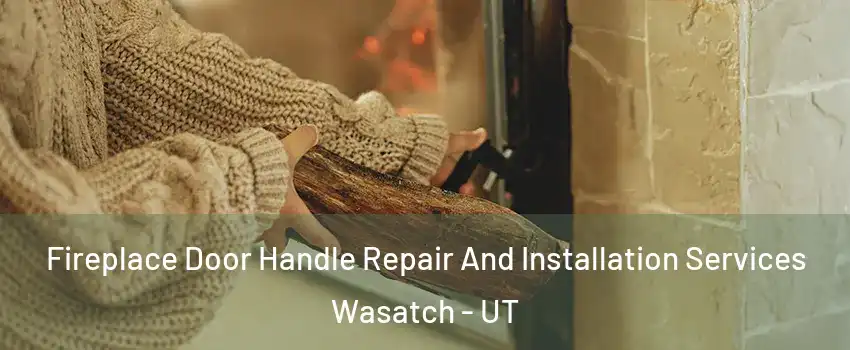 Fireplace Door Handle Repair And Installation Services Wasatch - UT