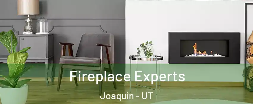 Fireplace Experts Joaquin - UT