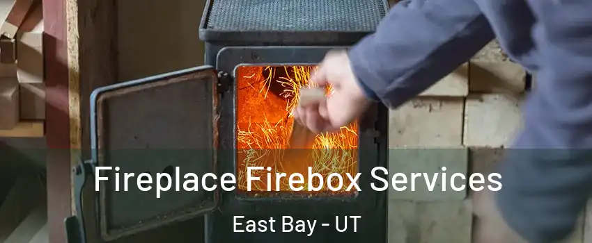Fireplace Firebox Services East Bay - UT