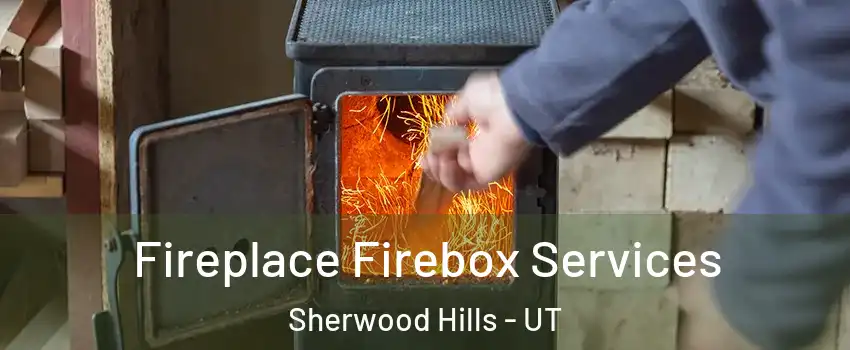 Fireplace Firebox Services Sherwood Hills - UT