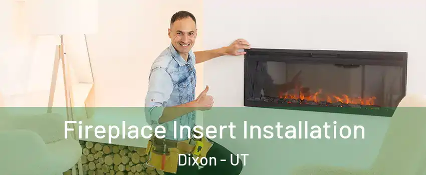 Fireplace Insert Installation Dixon - UT