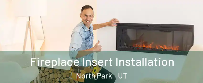 Fireplace Insert Installation North Park - UT