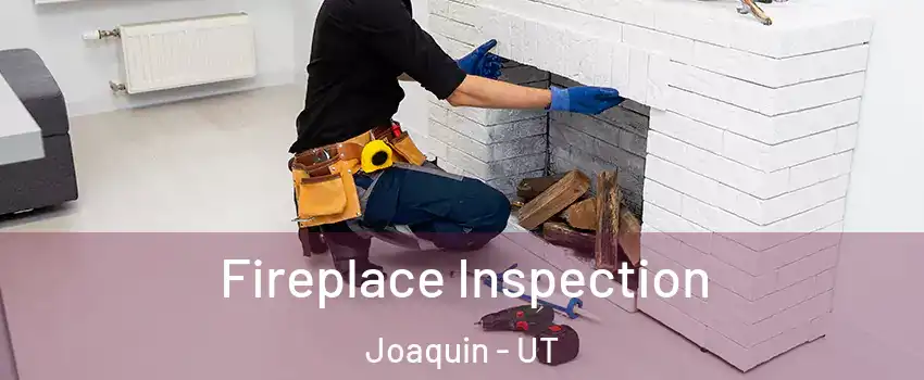 Fireplace Inspection Joaquin - UT