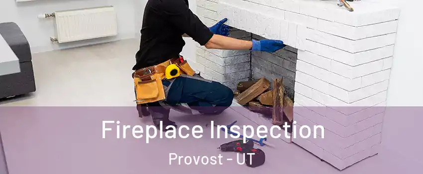 Fireplace Inspection Provost - UT