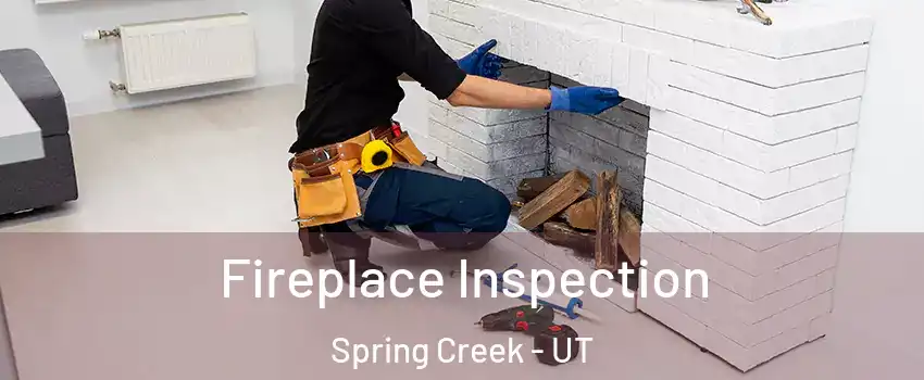 Fireplace Inspection Spring Creek - UT