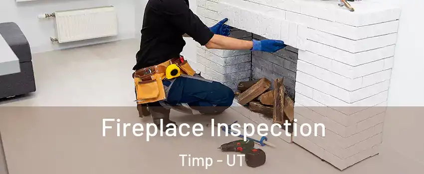 Fireplace Inspection Timp - UT