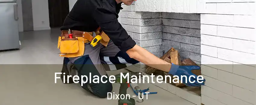 Fireplace Maintenance Dixon - UT