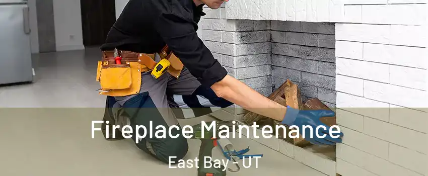 Fireplace Maintenance East Bay - UT