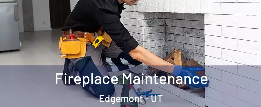 Fireplace Maintenance Edgemont - UT