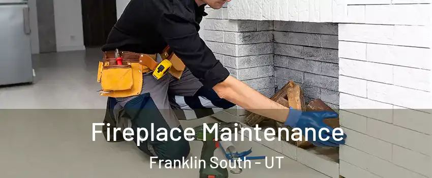 Fireplace Maintenance Franklin South - UT