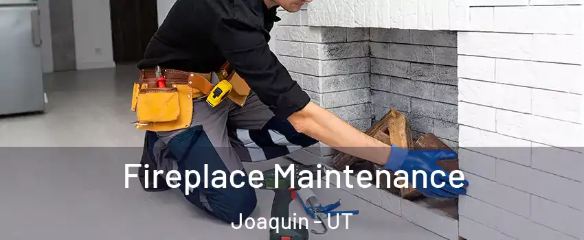 Fireplace Maintenance Joaquin - UT