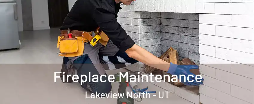 Fireplace Maintenance Lakeview North - UT