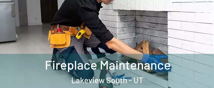 Fireplace Maintenance Lakeview South - UT