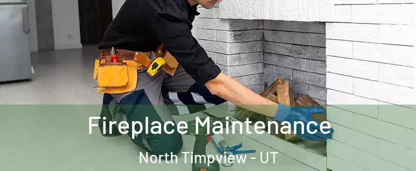 Fireplace Maintenance North Timpview - UT