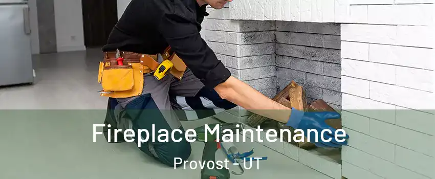 Fireplace Maintenance Provost - UT
