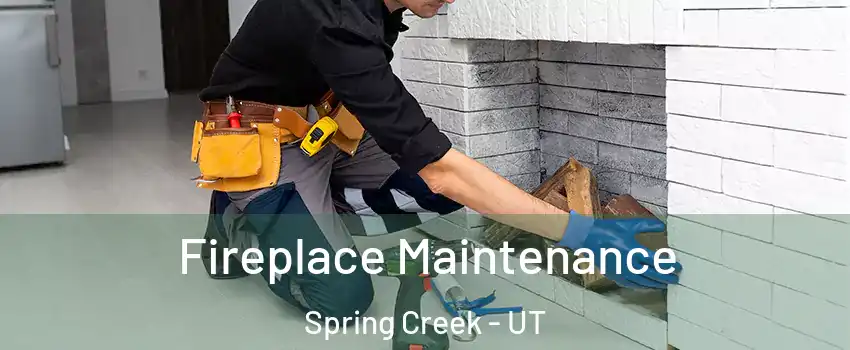 Fireplace Maintenance Spring Creek - UT