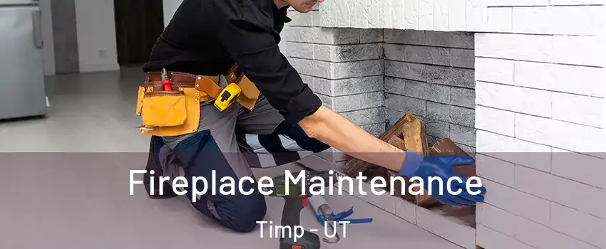 Fireplace Maintenance Timp - UT