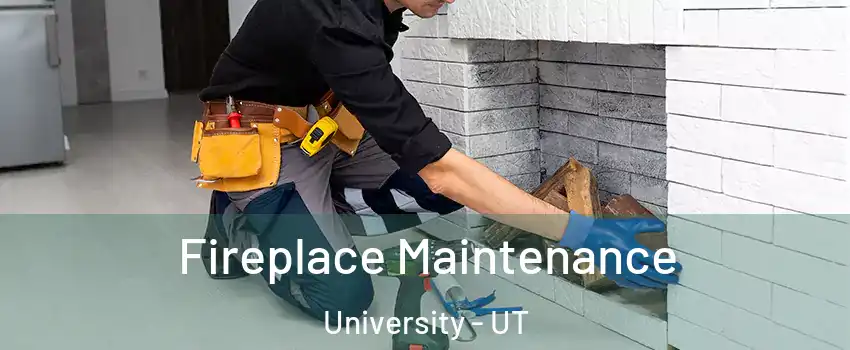 Fireplace Maintenance University - UT