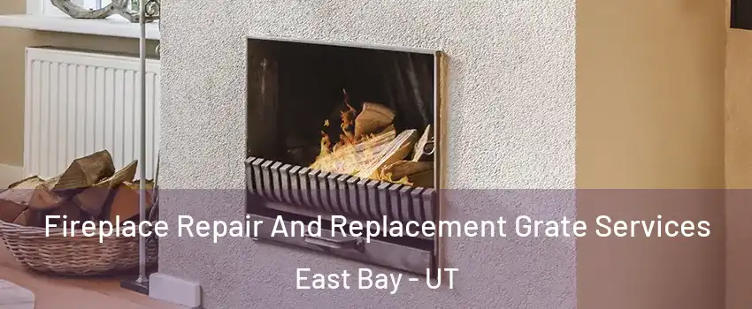 Fireplace Repair And Replacement Grate Services East Bay - UT