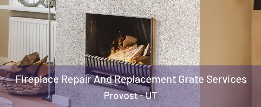 Fireplace Repair And Replacement Grate Services Provost - UT