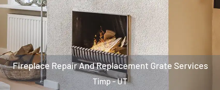 Fireplace Repair And Replacement Grate Services Timp - UT